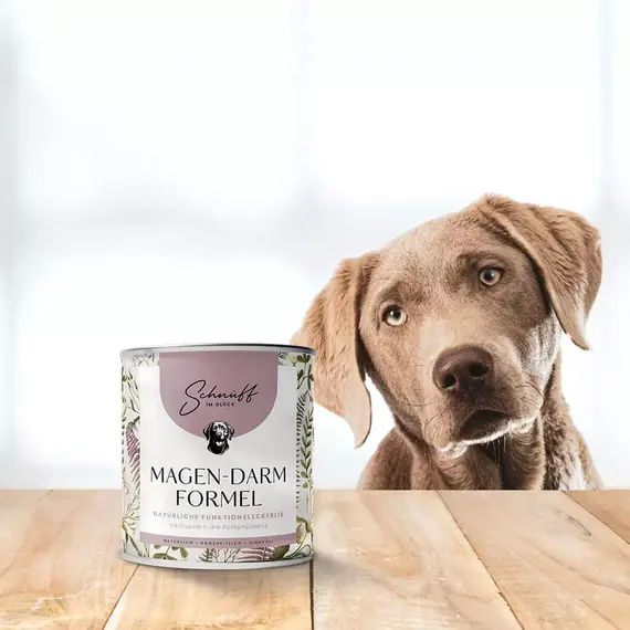 Funktionsleckerli • Magen & Darm Formel