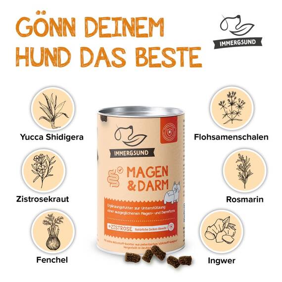 Funktions-Leckerli für Hunde • IMMERGSUND Magen & Darm