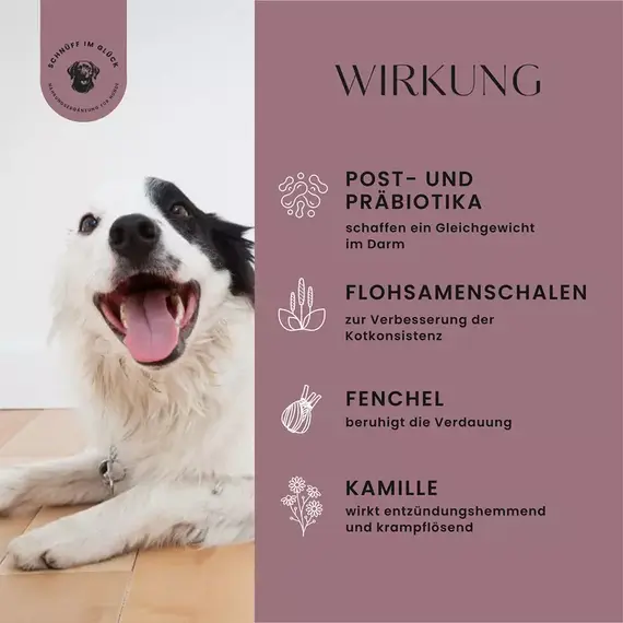 Funktionsleckerli • Magen & Darm Formel