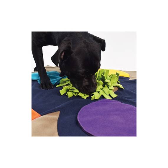 Hundespielzeug für Nasenarbeit • SNIFFPAD FLOWER