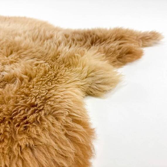 Großes Schaffell aus artgerechter Haltung • crème