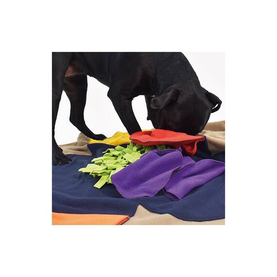 Hundespielzeug für Nasenarbeit • SNIFFPAD FLOWER