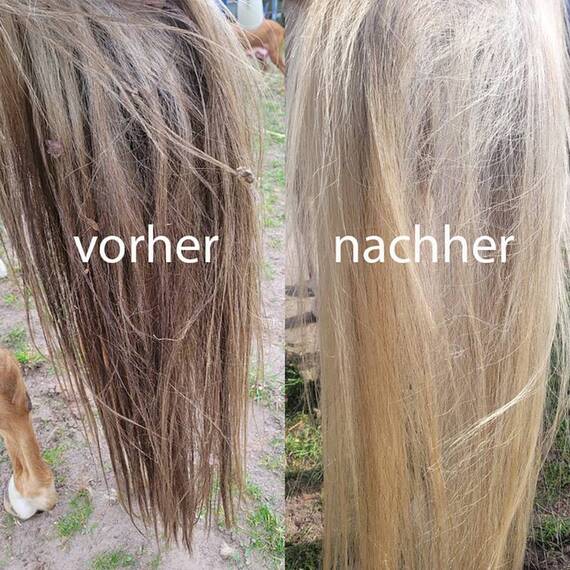 'Blitzeblank' • Stark reinigende Hundeseife