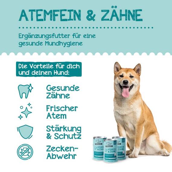Funktions-Leckerli gegen Mundgeruch • IMMERGSUND Atemfein & Zähne