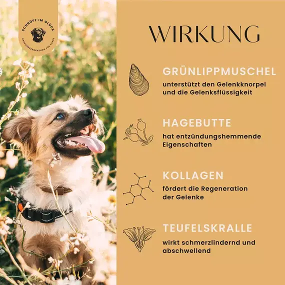 Funktionsleckerli • Gelenk-Plus Formel