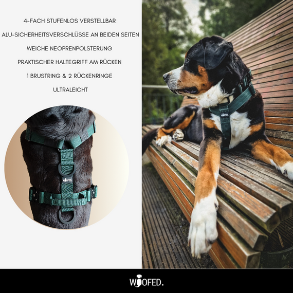 Leichtes Y-Geschirr, gepolstert mit Haltegriff • dunkelgrün