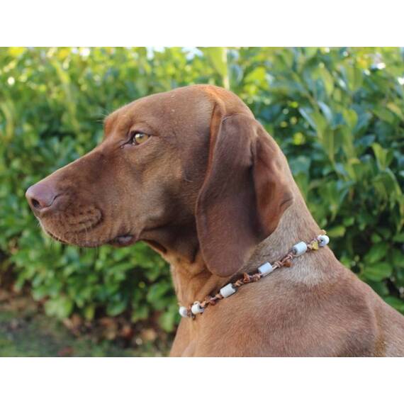 Schmuckhalsband für Hunde aus EM-Keramik und Bernstein