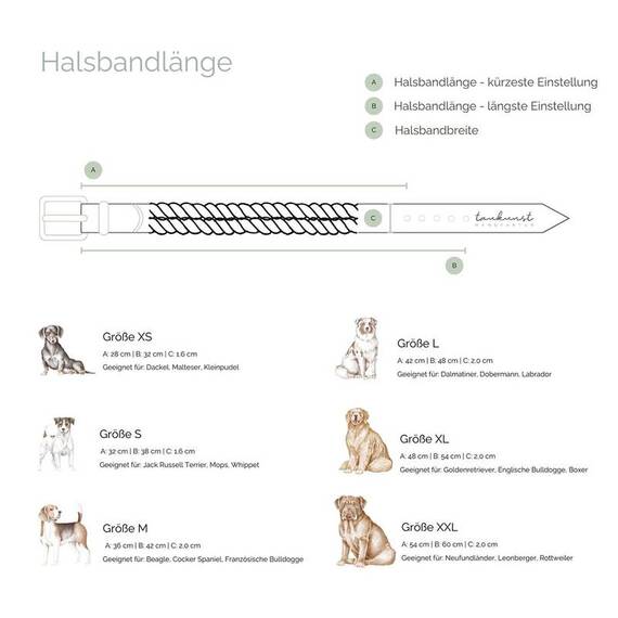 Tauhalsband 'Ahoi' • waldgrün