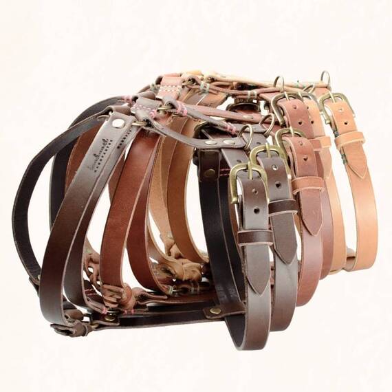 Hundegeschirr Maßanfertigung • Leder dunkelbraun