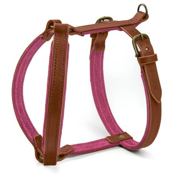 Gepolstertes Hundegeschirr Maßanfertigung • Leder braun