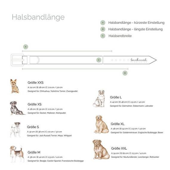 Verstellbares Halsband mit Sattlernaht • Leder schwarz