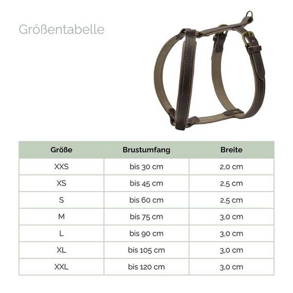 Gepolstertes Hundegeschirr Massanfertigung • Leder cognac