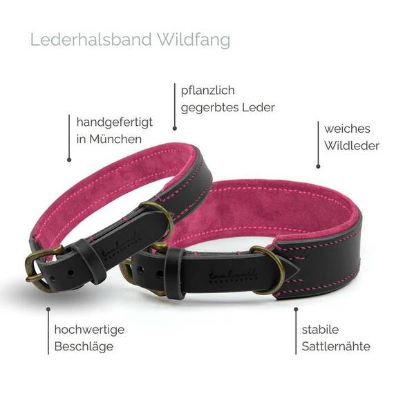 Gepolstertes Halsband • Leder schwarz