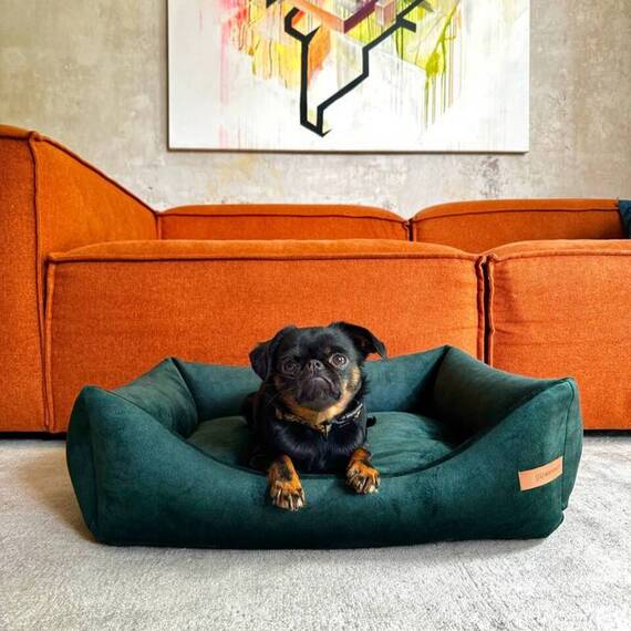 Kratzfestes Hundebett aus rPET • Samt dunkelgrün