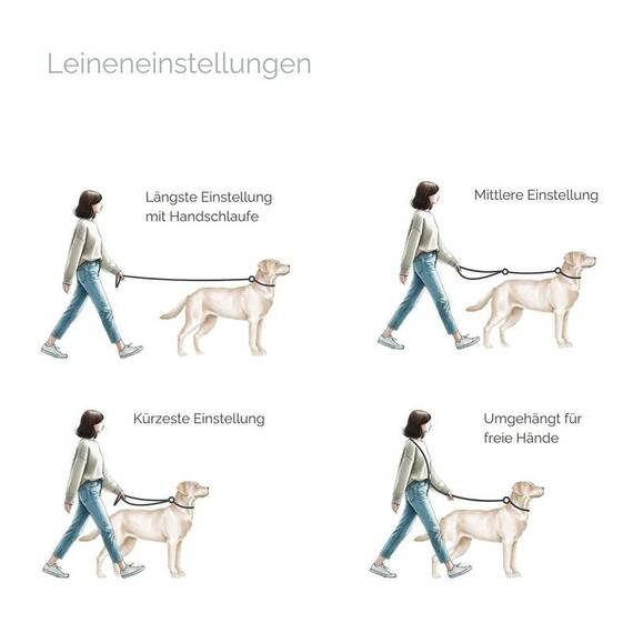 Verstellbare Hundeleine • Leder braun