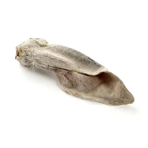 Kälberohren mit Fell, getrocknet