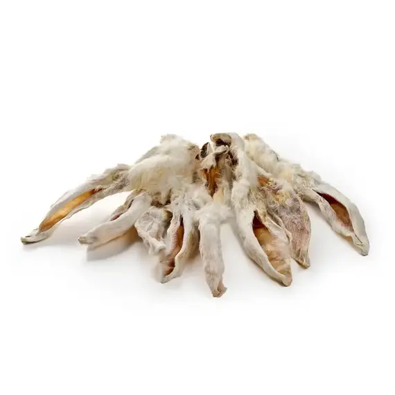 Kaninchen-Ohren mit Fell, Premium
