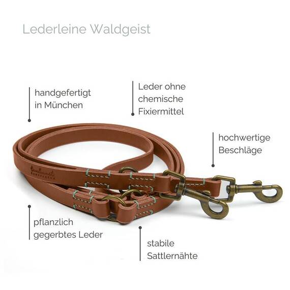 Verstellbare Hundeleine mit Sattlernaht • Leder braun