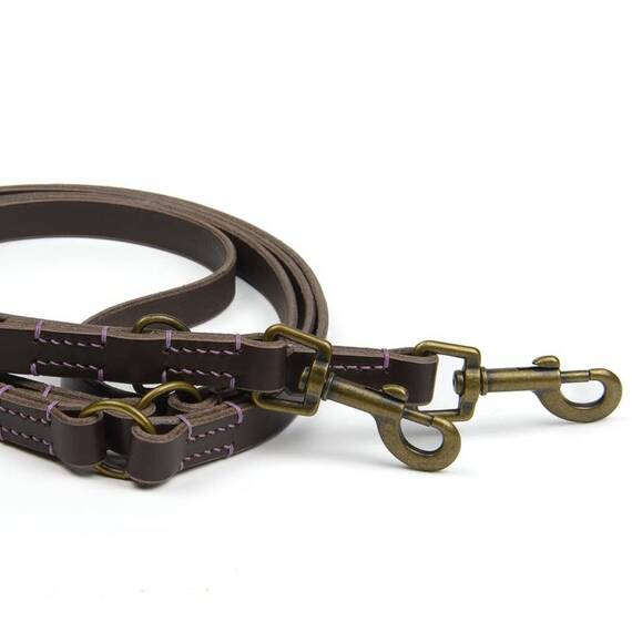 Verstellbare Hundeleine mit Sattlernaht • Leder dunkelbraun