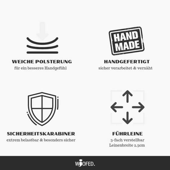 Reflektierende Hundeleine • 250cm • verstellbar