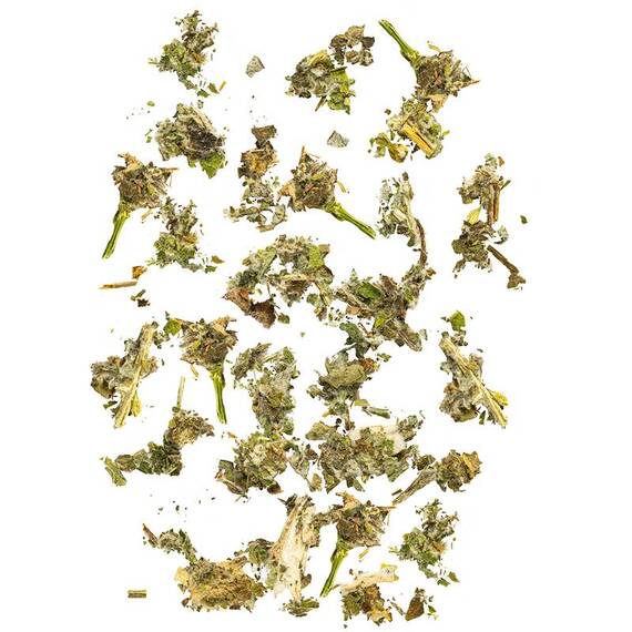 AniCanis Bio Artischocke geschnitten