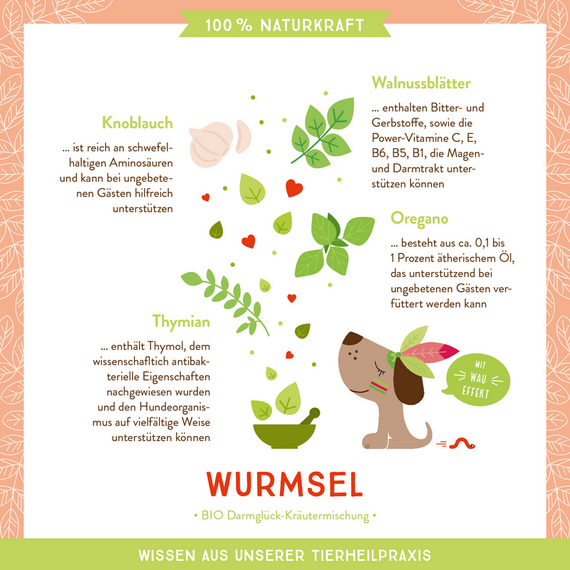 AniCanis Wurmsel Bio Darmkräuter Mix