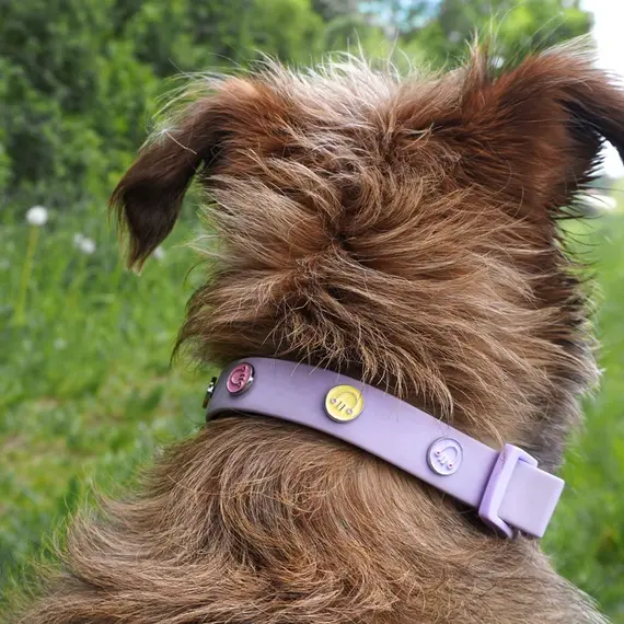 Hundehalsband-Anhänger ☆ Charm Happy Face pink