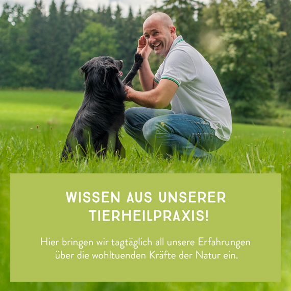 AniCanis Bio Leberkräuter Leberzwerge