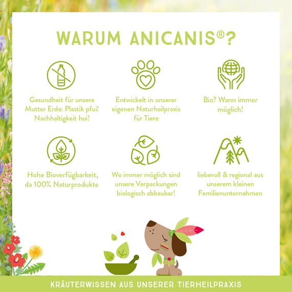 AniCanis Käse MINIS