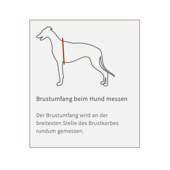 Softshell Hundemantel für Windhunde • verschiedene Farben