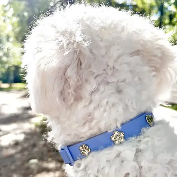 Hundehalsband-Anhänger ☆ Charm Blume silber