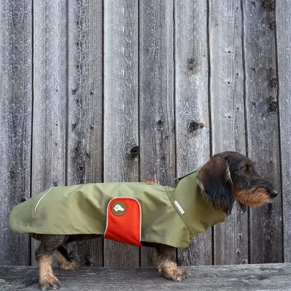 Regenmantel für Dackel, oliv • Theo & Emma 'Cooper'