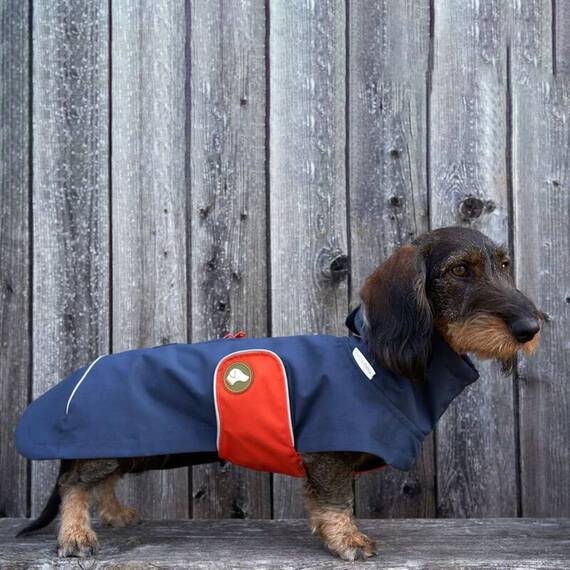 Regenmantel für Dackel, dunkelblau • Theo & Emma 'Cooper'
