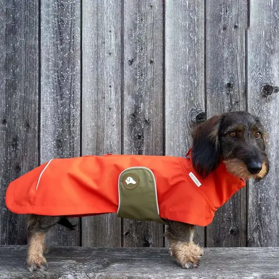 Regenmantel für Dackel, orange • Theo & Emma 'Cooper'