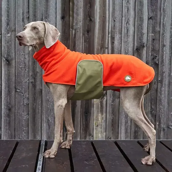 Gefüttertes Brustband für Hundemantel/ Pullover oliv • Theo & Emma