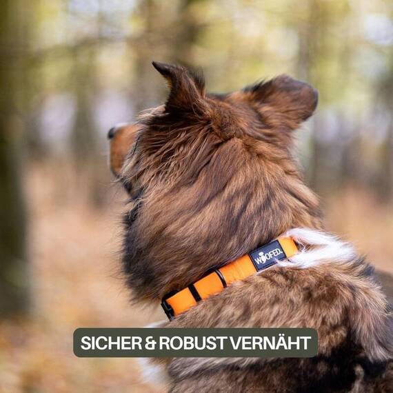 Wasserfestes Hundehalsband, verstellbar • WOOFLEX® Classic Sunset Orange