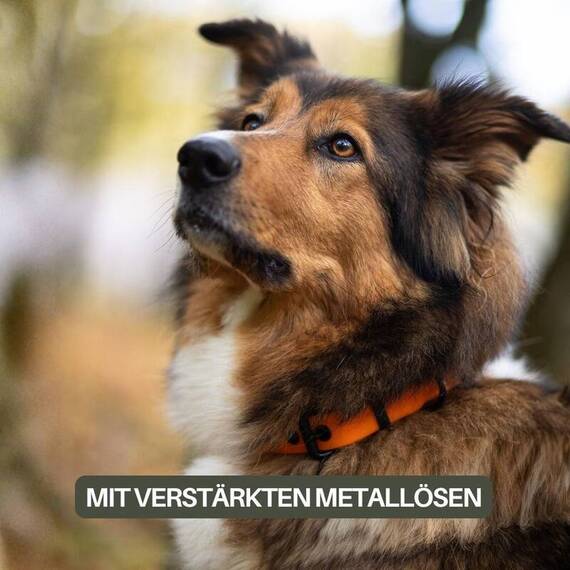 Wasserfestes Hundehalsband, verstellbar • WOOFLEX® Classic Sunset Orange