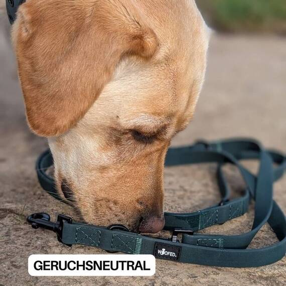 Wasserfeste Hundeleine, verstellbar • WOOFLEX® Classic Hunting Green