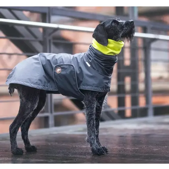 Hunde-Loop Fleece mit Halsband-Öffnung • lemon