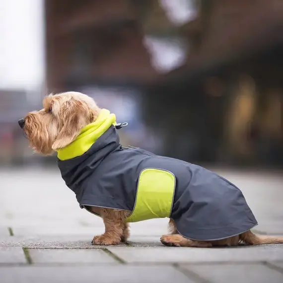 Hunde-Loop Fleece mit Halsband-Öffnung • lemon