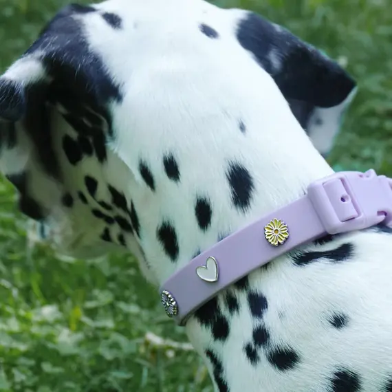 Hundehalsband-Anhänger ☆ Charm Herz blau