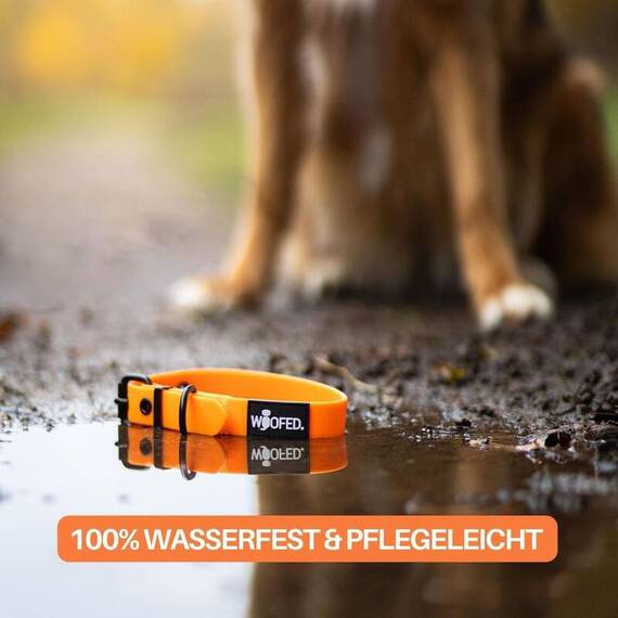 Wasserfestes Hundehalsband, verstellbar • WOOFLEX® Classic Sunset Orange