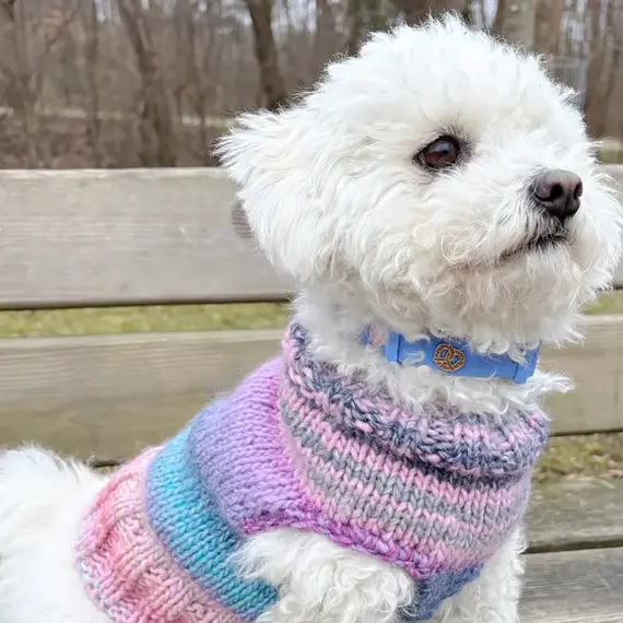 Hundehalsband-Anhänger ☆ Charm Brezel rosa