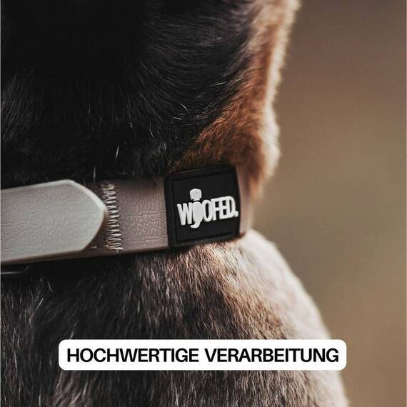 Wasserfestes Hundehalsband, verstellbar • WOOFLEX® Classic Desert Sand