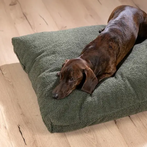 Wechselbezug für LABONI Hundekissen • TEDDY grau