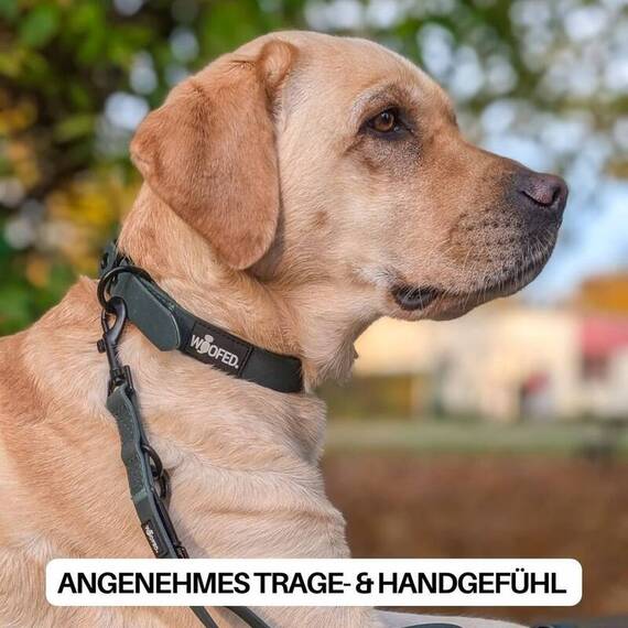 Wasserfeste Hundeleine, verstellbar • WOOFLEX® Classic Hunting Green