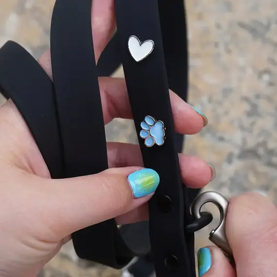 Hundehalsband-Anhänger ☆ Charm Pfote blau