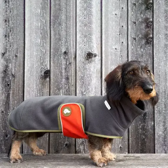 Dackel-Pullover, Fleece anthrazit • Theo & Emma 'Henry'