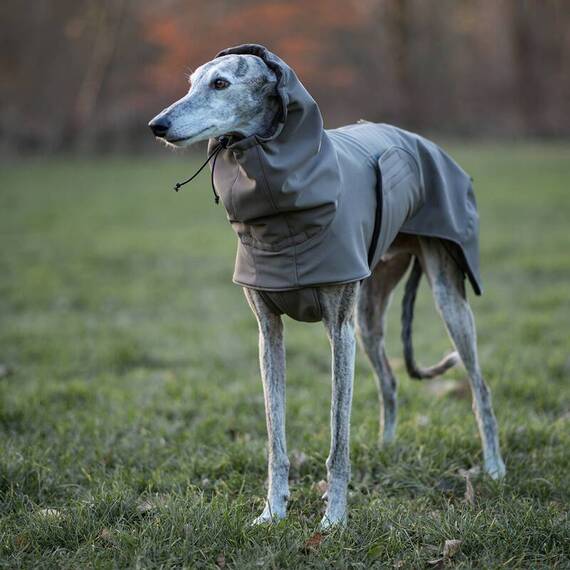 Softshell Hundemantel für Windhunde • verschiedene Farben