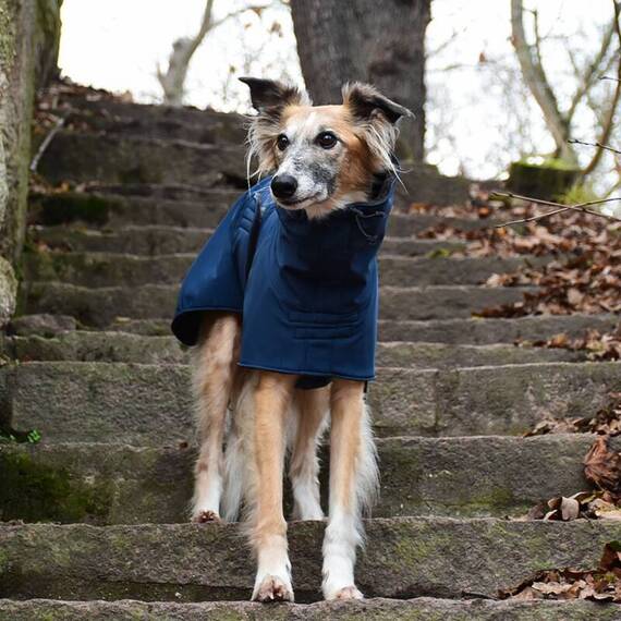 Softshell Hundemantel für Windhunde • verschiedene Farben